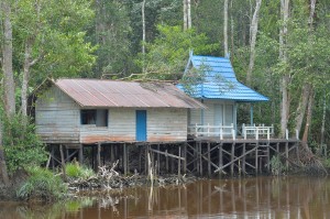 Trans Borneo Expedition 2014     